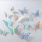 3D Mariposas - Rainbow Silver